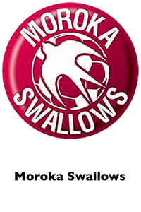 Moroka Swallows Logo 1